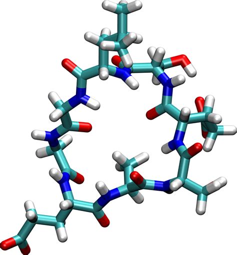cyclic peptide|cyclic peptide database.